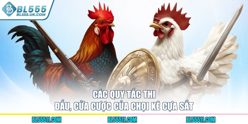 Các quy tắc thi đấu, cửa cược của chọi kê cựa sắt