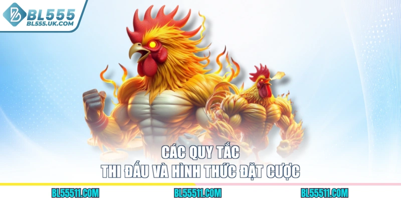 Các quy tắc thi đấu và hình thức đặt cược