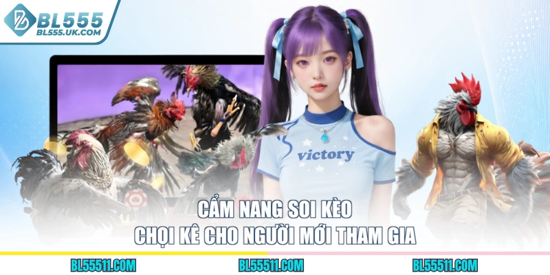 Cẩm nang soi kèo chọi kê cho người mới tham gia