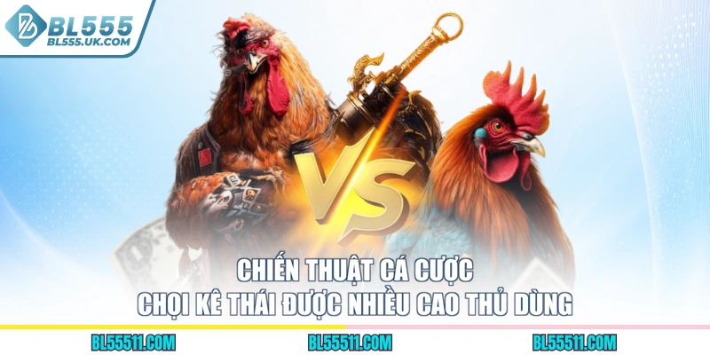 Chiến thuật cá cược chọi kê Thái được nhiều cao thủ dùng