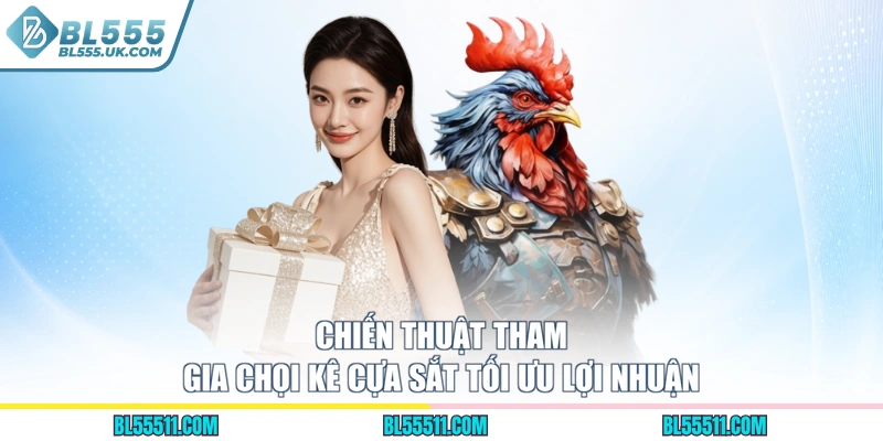 Chiến thuật tham gia chọi kê cựa sắt tối ưu lợi nhuận