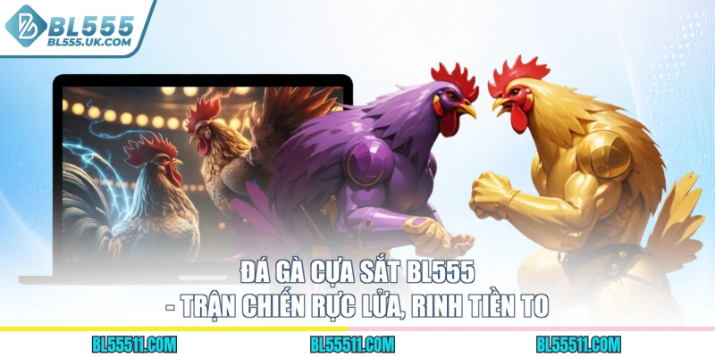 Đá Gà Cựa Sắt BL555 - Trận Chiến Rực Lửa, Rinh Tiền To
