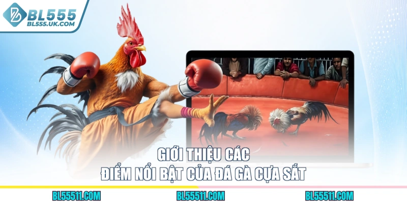 Giới thiệu các điểm nổi bật của đá gà cựa sắt