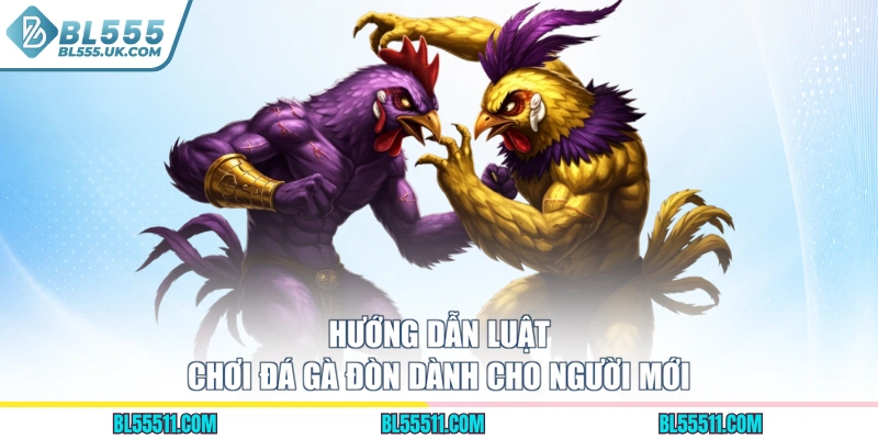 Hướng dẫn luật chơi đá gà đòn dành cho người mới